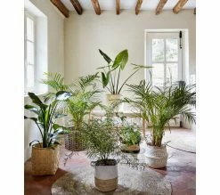 Vente flash 😉 TIME Panier rond TAO Blanc 🤩