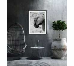 Meilleur prix 😍 TIME Image 50x70 cm ELEPHANT CORBEAU Noir 👍
