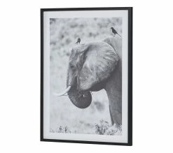 Meilleur prix 😍 TIME Image 50x70 cm ELEPHANT CORBEAU Noir 👍 -Promos TIME Magasin 3446035937954 P