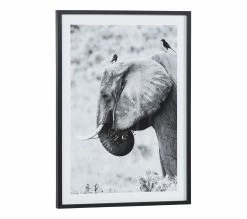 Meilleur prix 😍 TIME Image 50x70 cm ELEPHANT CORBEAU Noir 👍 -Promos TIME Magasin 3446035937954 Q