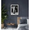 Offres 🧨 TIME Image 50x70 cm ELEPHANT Noir 🛒 -Promos TIME Magasin 3446035937961 AMB1