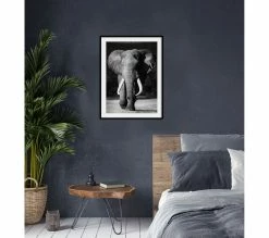 Offres 🧨 TIME Image 50x70 cm ELEPHANT Noir 🛒