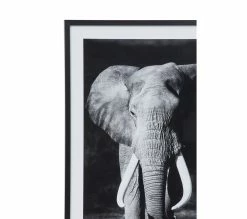 Offres 🧨 TIME Image 50x70 cm ELEPHANT Noir 🛒 15 Offres 🧨 TIME Image 50x70 cm ELEPHANT Noir 🛒 -Promos TIME Magasin 3446035937961 D