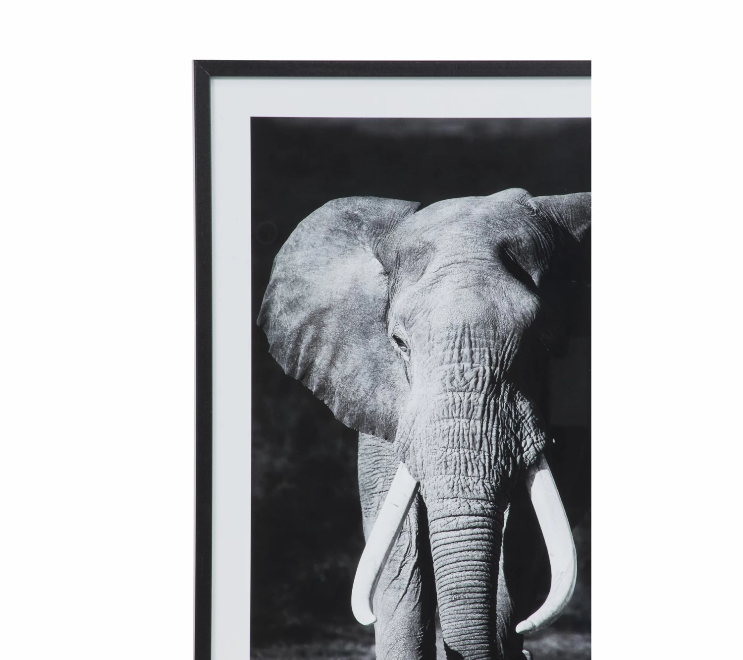 Offres 🧨 TIME Image 50x70 cm ELEPHANT Noir 🛒 7 Offres 🧨 TIME Image 50x70 cm ELEPHANT Noir 🛒 – Image 5