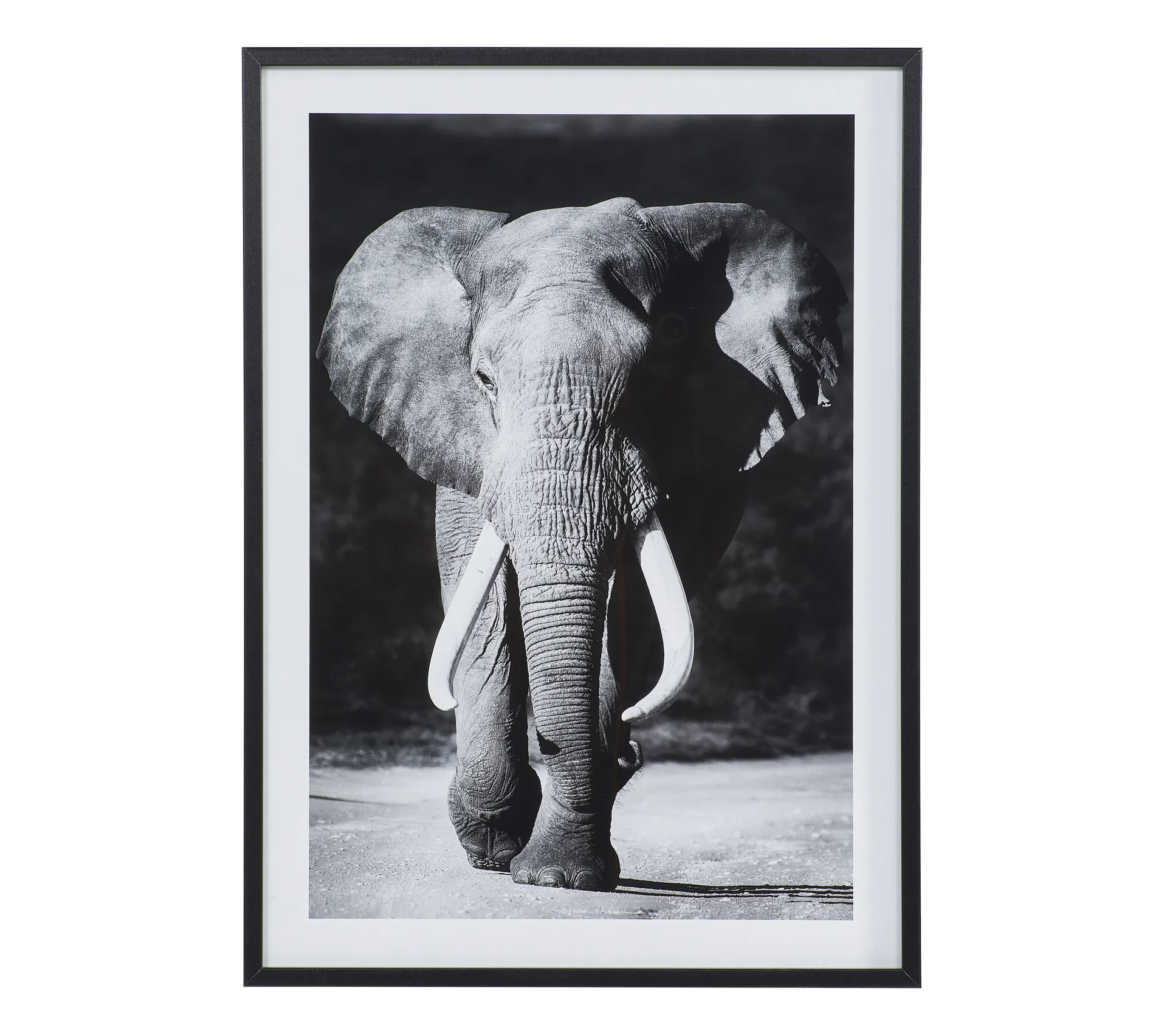 Offres 🧨 TIME Image 50x70 cm ELEPHANT Noir 🛒 4 Offres 🧨 TIME Image 50x70 cm ELEPHANT Noir 🛒 – Image 2