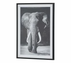 Offres 🧨 TIME Image 50x70 cm ELEPHANT Noir 🛒 14 Offres 🧨 TIME Image 50x70 cm ELEPHANT Noir 🛒 -Promos TIME Magasin 3446035937961 P