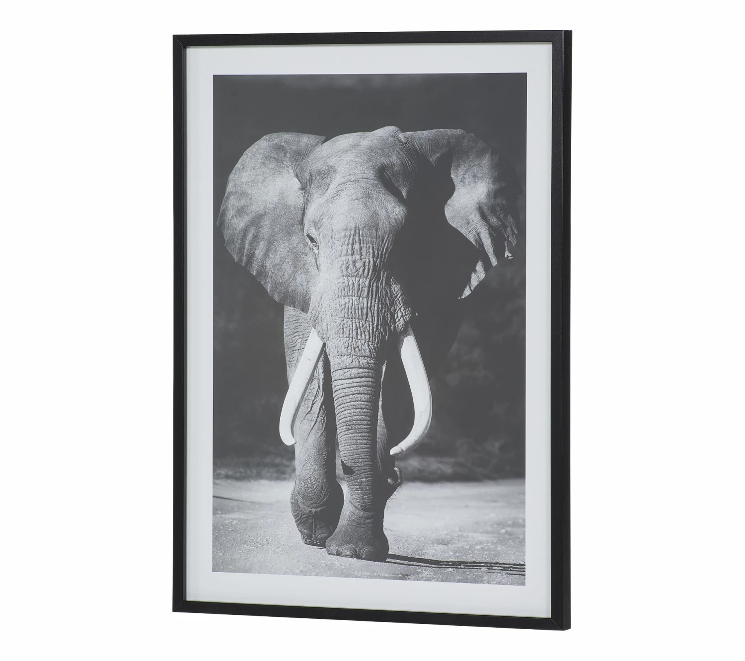 Offres 🧨 TIME Image 50x70 cm ELEPHANT Noir 🛒 6 Offres 🧨 TIME Image 50x70 cm ELEPHANT Noir 🛒 – Image 4