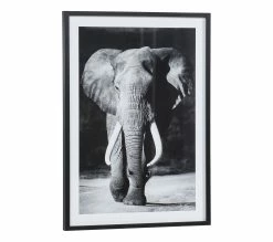 Offres 🧨 TIME Image 50x70 cm ELEPHANT Noir 🛒 13 Offres 🧨 TIME Image 50x70 cm ELEPHANT Noir 🛒 -Promos TIME Magasin 3446035937961 Q