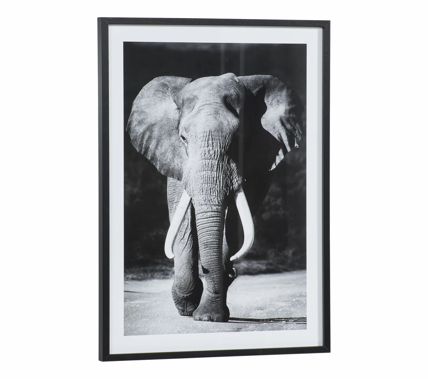 Offres 🧨 TIME Image 50x70 cm ELEPHANT Noir 🛒 5 Offres 🧨 TIME Image 50x70 cm ELEPHANT Noir 🛒 – Image 3