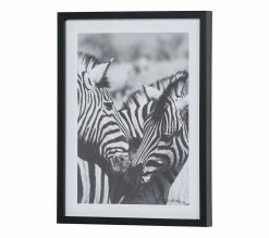 De gros ✨ TIME Image 30x40 cm ZEBRES CALIN Noir / Blanc 💯 -Promos TIME Magasin 3446035937978 P