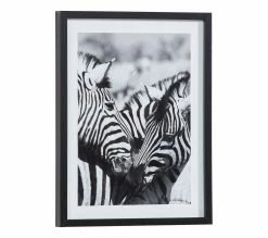 De gros ✨ TIME Image 30x40 cm ZEBRES CALIN Noir / Blanc 💯 -Promos TIME Magasin 3446035937978 Q