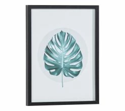 Les meilleures critiques de 🔥 TIME Image 30x40 cm FEUILLE MONSTERA Noir ✔️ 11 Les meilleures critiques de 🔥 TIME Image 30x40 cm FEUILLE MONSTERA Noir ✔️ -Promos TIME Magasin 3446035938098 Q