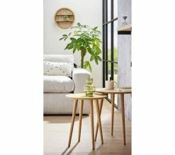 Meilleure vente 🎉 TIME Table basse ronde gigogne LOLA Chêne/ or 🎉 -Promos TIME Magasin 3877000686735 AMB2